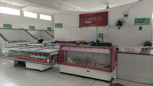 Mercado Público Municipal