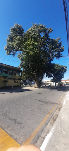 Pinheiral