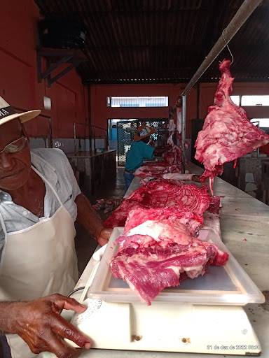 Mercado Municipal