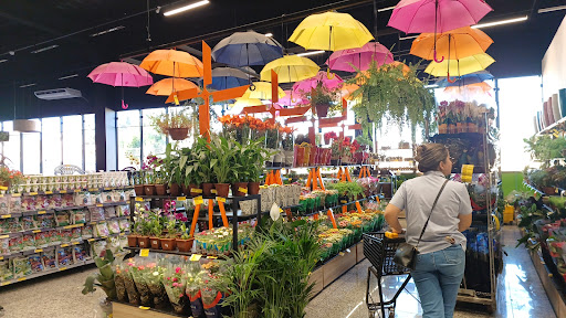 Proença Supermercados - Andradina