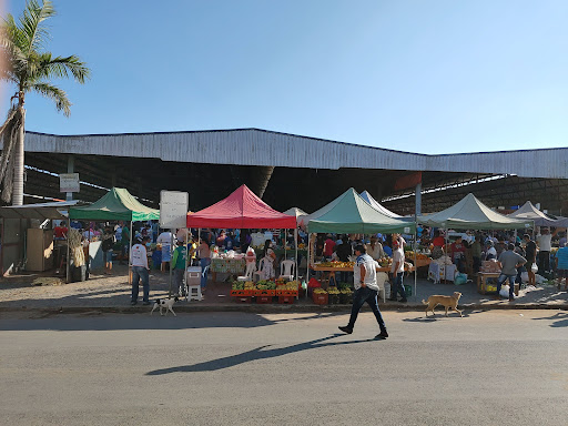 Mercado Municipal