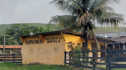 Buphanilb - Queijo de búfala